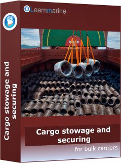 Cargo Securing for Bulk Carriers