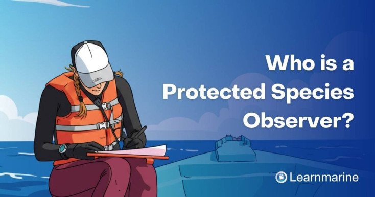 Who is a Protected Species Observer?